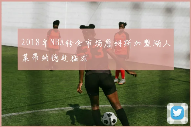 2018年NBA转会市场詹姆斯加盟湖人莱昂纳德赴猛龙