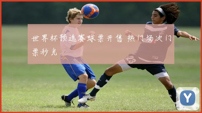 世界杯预选赛球票开售 热门场次门票秒光