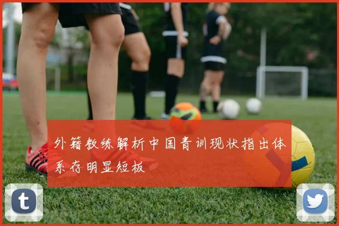 外籍教练解析中国青训现状指出体系存明显短板
