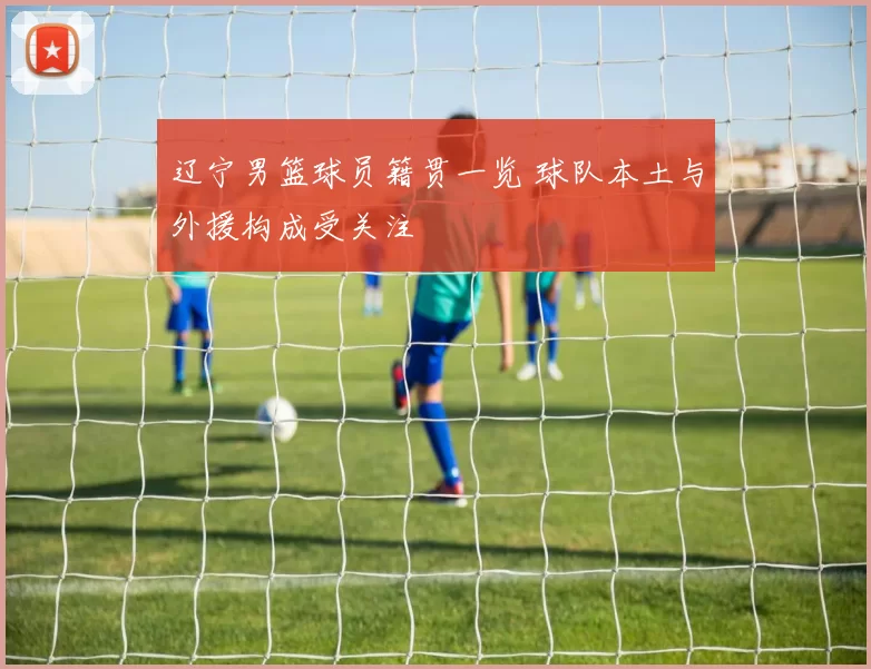 辽宁男篮球员籍贯一览 球队本土与外援构成受关注