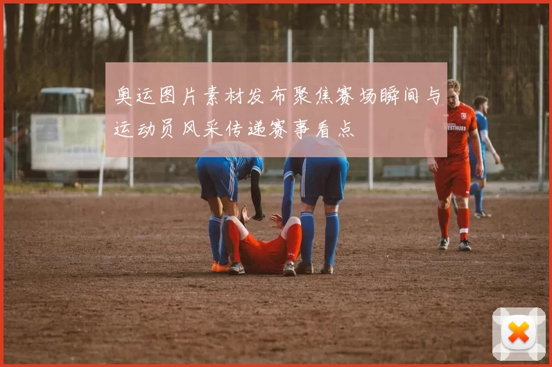 奥运图片素材发布聚焦赛场瞬间与运动员风采传递赛事看点
