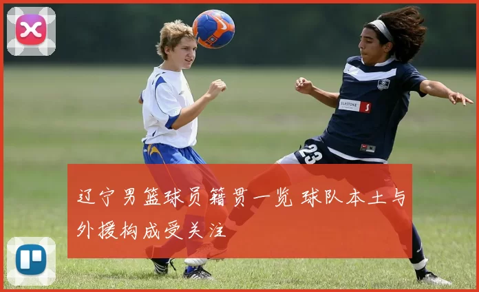 辽宁男篮球员籍贯一览 球队本土与外援构成受关注